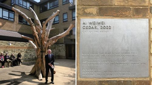 Dedication of Ai Weiwei's Cedar 2022 tree 